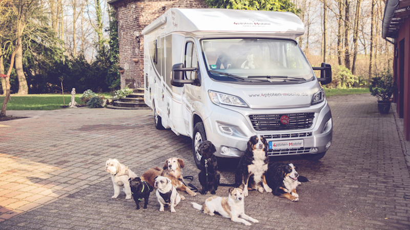 Wohnmobil mieten mit Hund – Der DogLiner