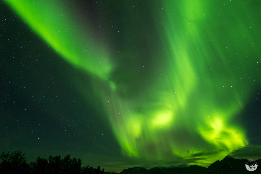 Reiseziele für den Herbst: 13 Camping-Blogger verraten ihre Lieblingsecken 24 Norwegen 20160908 Lofoten Polarlichter 1090068 Mandy Raasch