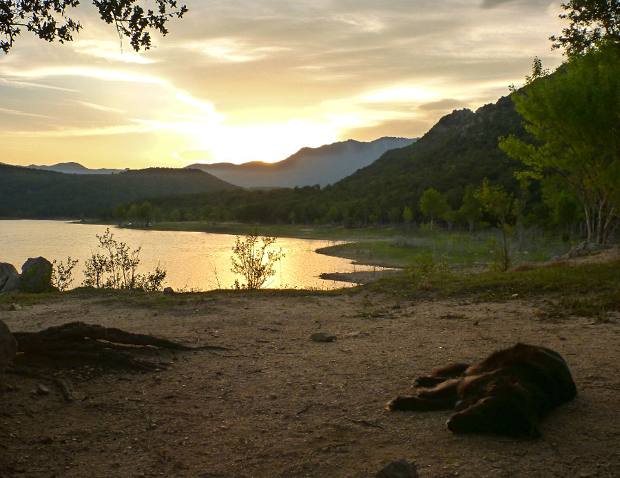 Reiseziele für den Herbst: 13 Camping-Blogger verraten ihre Lieblingsecken 16 Sonnenuntergang mit Hund am See