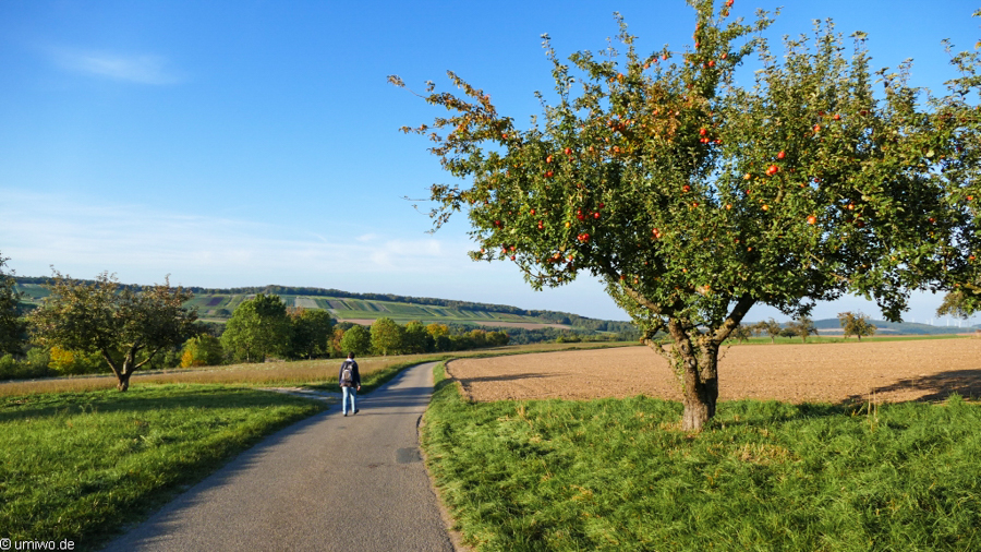 Reiseziele für den Herbst: 13 Camping-Blogger verraten ihre Lieblingsecken 44 Wanderweg bei Kühlsheim