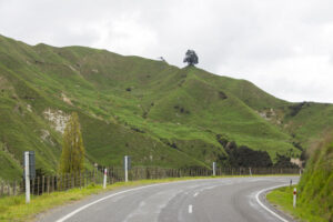 Eine typische, kurvige Straße auf der Nordinsel von Neuseeland