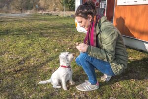 Dogliner 059