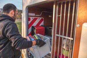 Dogliner 060