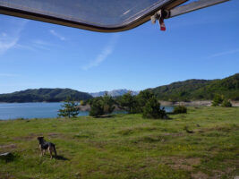 Camping mit Hund in Griechenland