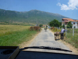 Männer und Esel in Albanien