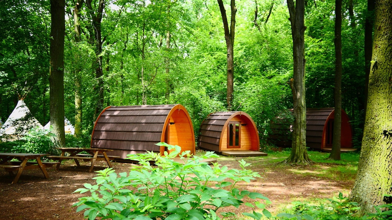 Unglaublich schön und luxuriös: 15 Glamping-Unterkünfte in Deutschland 40 Pods im Kletterwald Leipzig