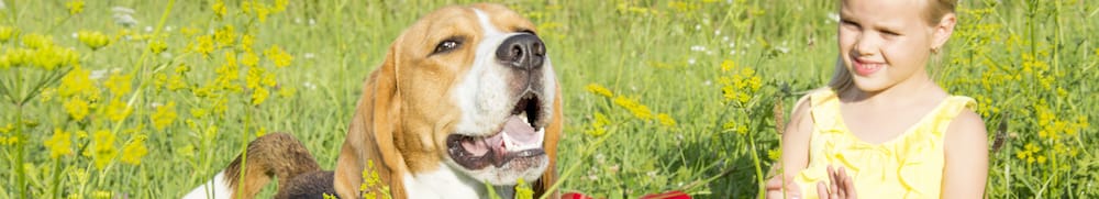 Camping mit Kind und Hund macht riesigen Spaß!