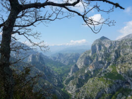 Toller Blick in die Schlucht La Hermida in Santa Catalina
