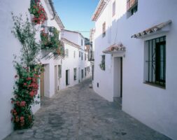 Blick auf eine Gasse in Cádiz im Fruehjahr