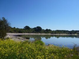 Blick auf einen Strand im Fruehling in Sithonia