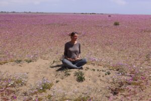 Sabine sitzt mit Babybauch auf einer Blumenwiese und berichtet vom schwanger reisen