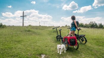 Test eflizzer Tubo Sprint Steigungen