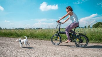eflizzer Sprint - Radtour mit Hund