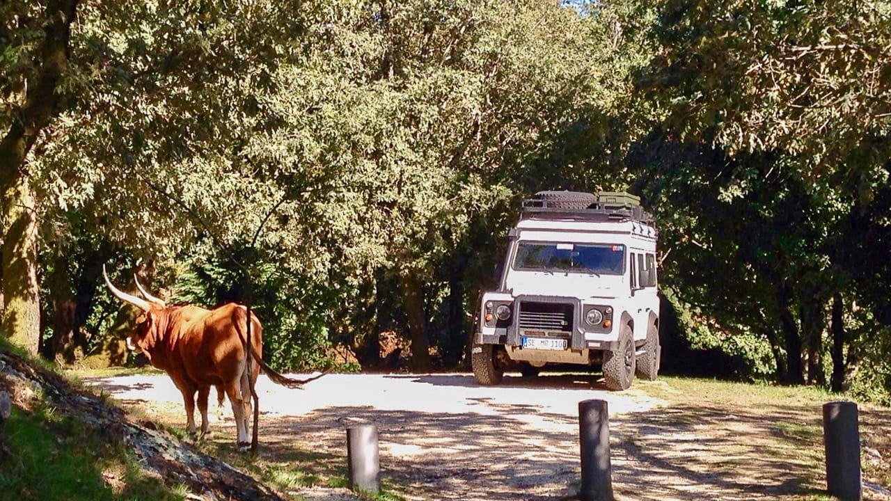 Wildcamping in Portugal – Regeln und Tipps für einen gelungenen Urlaub