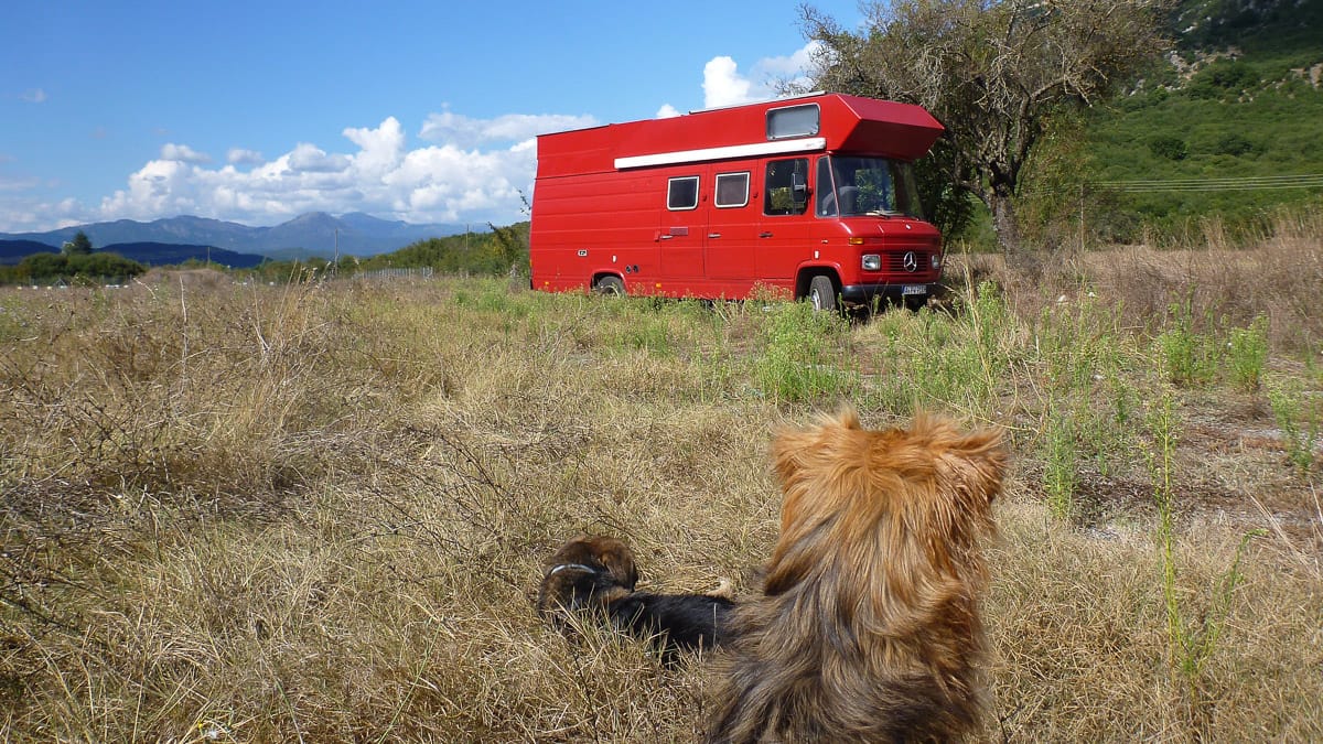 Wildcampen und Freistehen in Griechenland: Regeln, Strafen und Tipps (2026) 5 Ein Hund und ein Wohnmobil beim Wildcampen in Griechenland