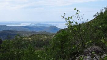 Die Landschaft beim Wandern in Norwegen zum Preikestolen