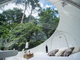 Bubble Tents: Übernachten in der Seifenblase 4 BubbleSuite- BubbleTree