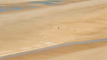 Ein Hundestrand in Frankreich bei Ebbe