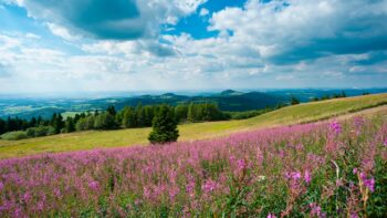 (c) Christian Tech - Tourismus Fulda
