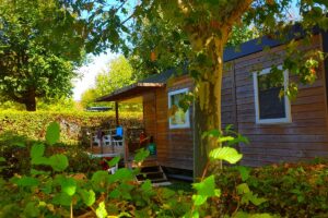 Camping La Grappe Fleurie Chalet mit Veranda im Gruenen auf dem Campingplatz