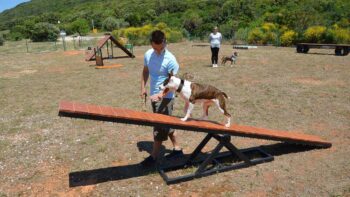 Unternehmungen mit Hund in Kroatien beim Camping