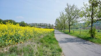 Viel Platz in der Natur beim Camping auf dem Bauernhof