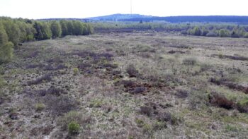 Rotes Moor im Rhön Urlaub