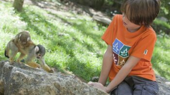 Beim Camping mit Kind in Nouvelle Aquitaine die Freuden des Lebens entdecken 16 Junge im Affenpark beim beim Camping mit Kind in Nouvelle Aquitaine