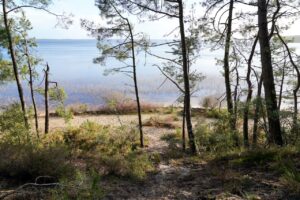 Beim Camping mit Kind in Nouvelle Aquitaine die Freuden des Lebens entdecken 11 Lac Biscarrosse beim Camping mit Kind in Nouvelle Aquitaine