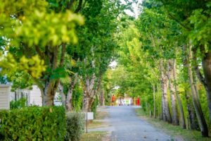 Beim Camping mit Kind in Nouvelle Aquitaine die Freuden des Lebens entdecken 2 Camping Airotel Oleron bei Camping mit Kind in Nouvelle Aquitaine