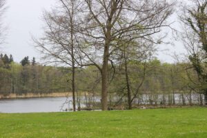 Blick auf den Amtsee beim Urlaub mit Camping in der Uckermark