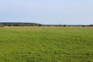 Nationalpark Unteres Odertal beim Camping in der Uckermark