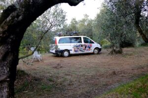 Stellplatz zwischen Olivenbäumen in der Toskana auf einer Italienreise