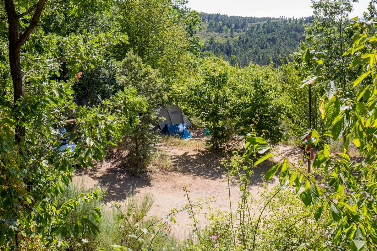 Camping Cepo Verde Blick auf die Stellplaetze im Gruenen
