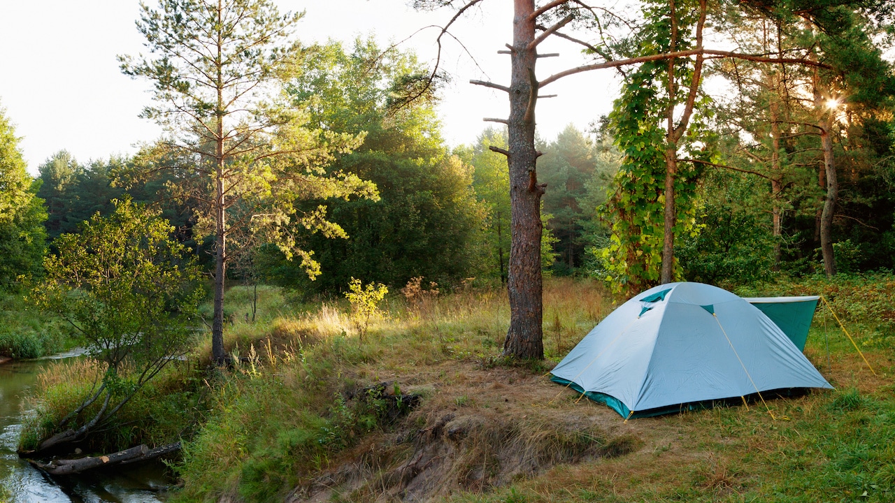 Polen erlaubt Wildcamping in ausgewählten Wäldern