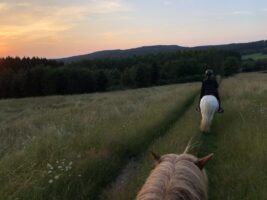 Ausritt beim Camping mit Pferd