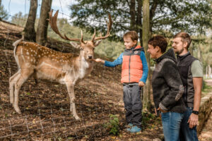 Besuch im Wildpark Osterzgebirge (c) Phillip Maethner