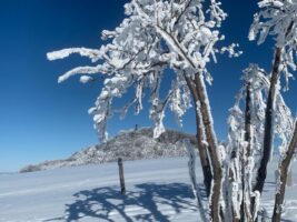 Winter im Östlichen Erzgebirge (c) Tina Heymann