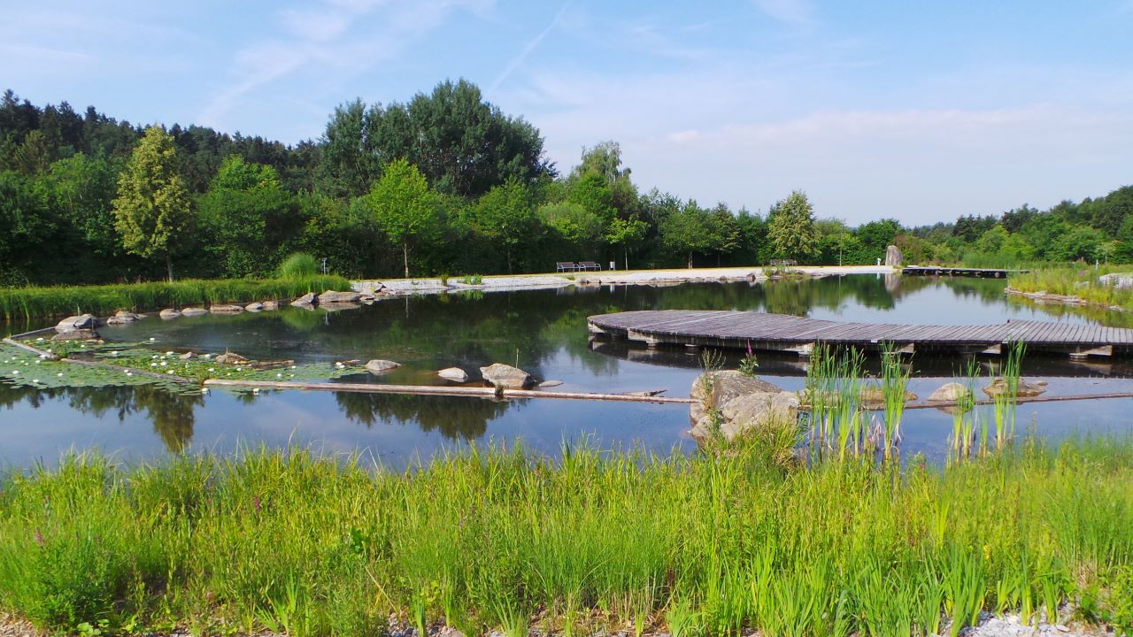 Blick in den Park im Lallinger Winkel