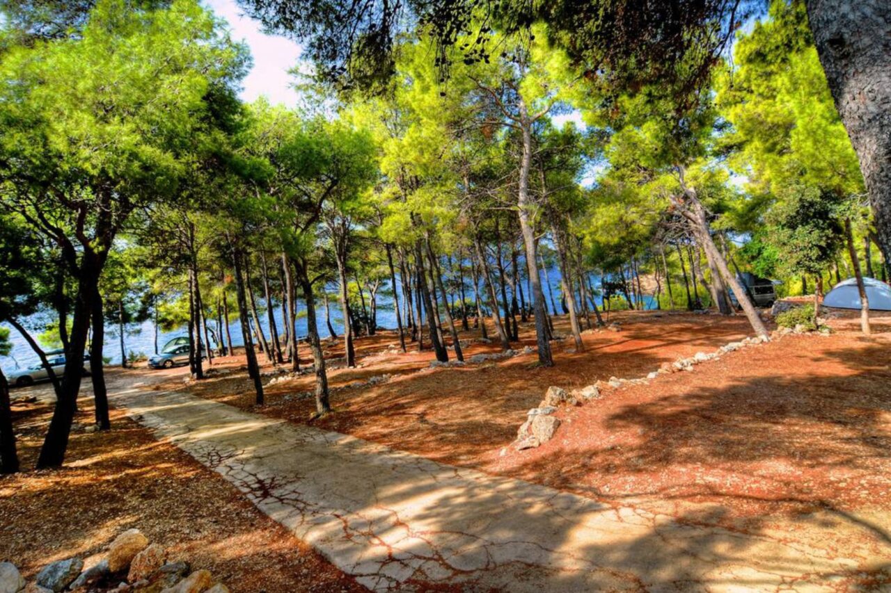 Campingurlaub in Kroatien: beliebte Campingplätze im sonnigen Dalmatien 4 Campingplätze Dalmatien - Ein wunderschöner Platz mitten in den Pinienwäldern und direkt am Meer. © camping.info