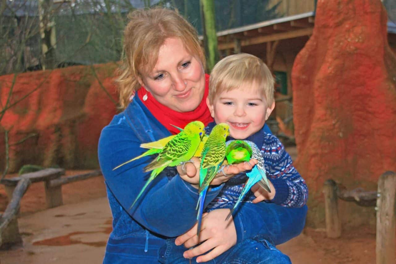 Wildlife, Camping, Abenteuer: Safariparks und besondere Tierparks – mit Stellplatztipps 17 Camping Safariparks Vogelpark