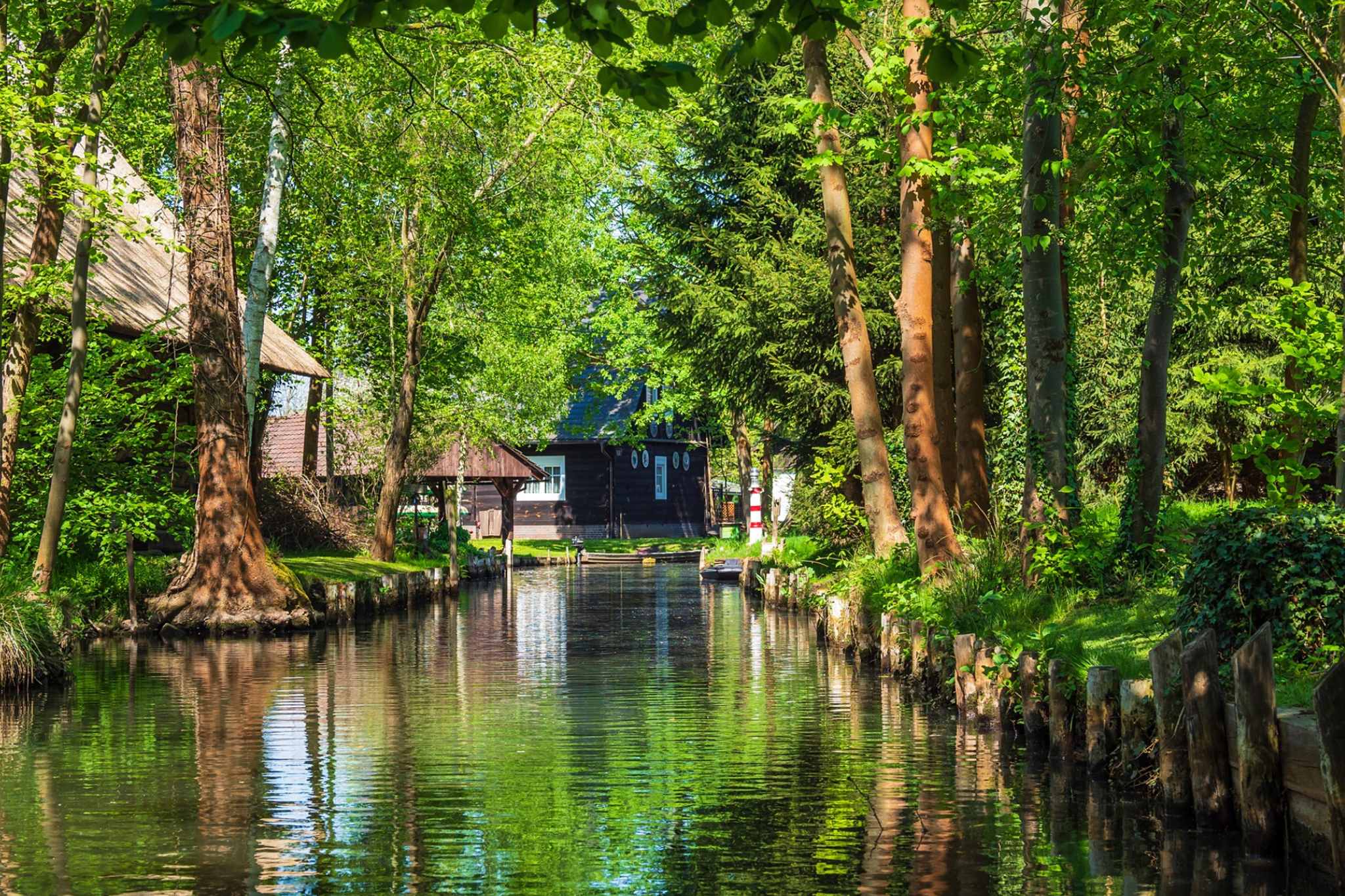 Entdecke das grüne Paradies: Camping im Spreewald – Dein unvergessliches Naturerlebnis!