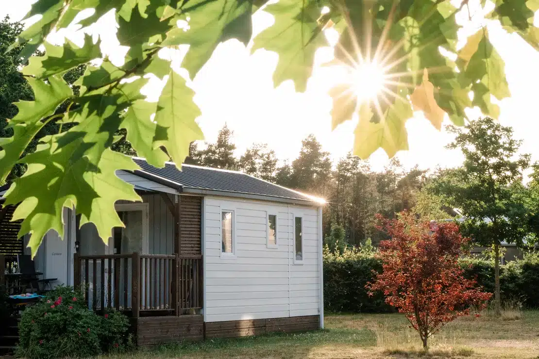 Grünes Campen: 5 wunderschöne & nachhaltige Campingplätze in Deutschland 2 campingpark suedheide