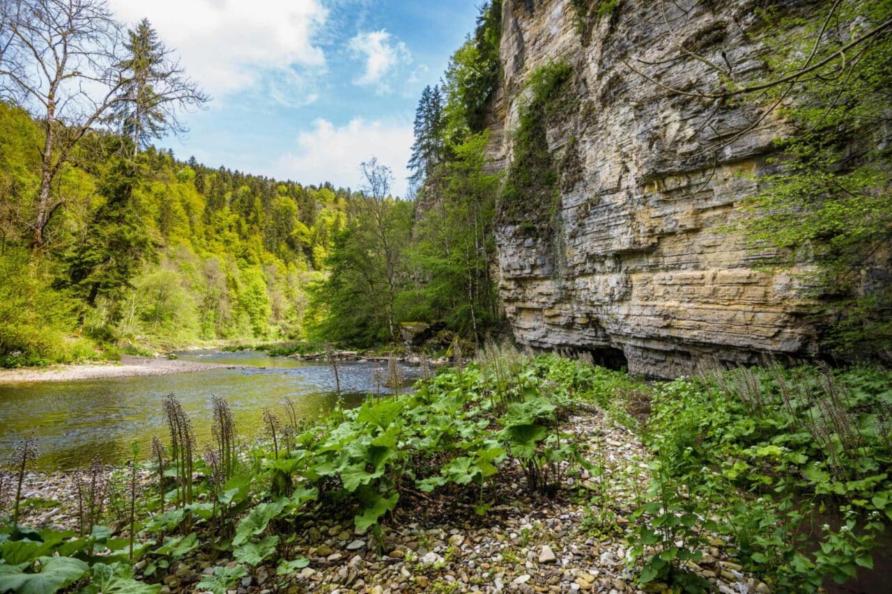 Camping Schluchten Europa Wutachschlucht