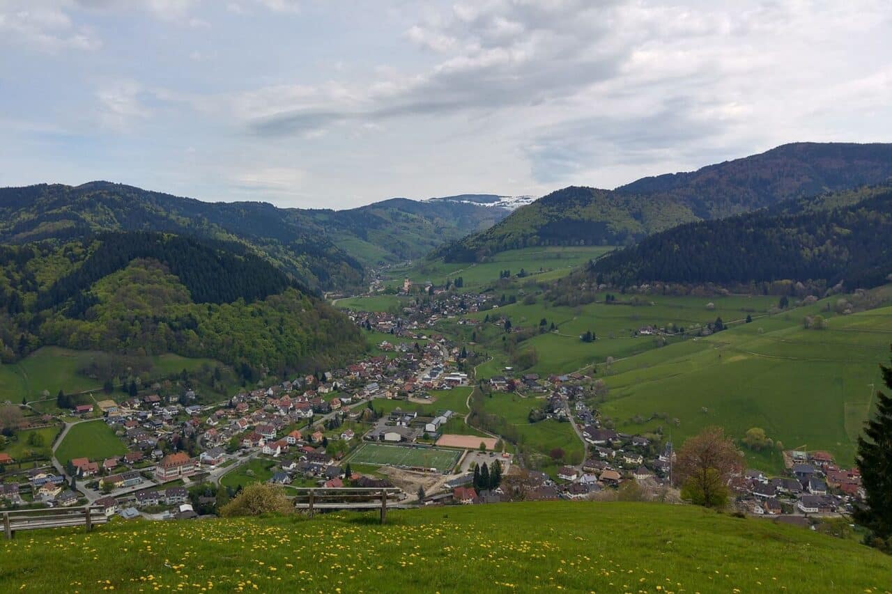 blick auf das muenstertal