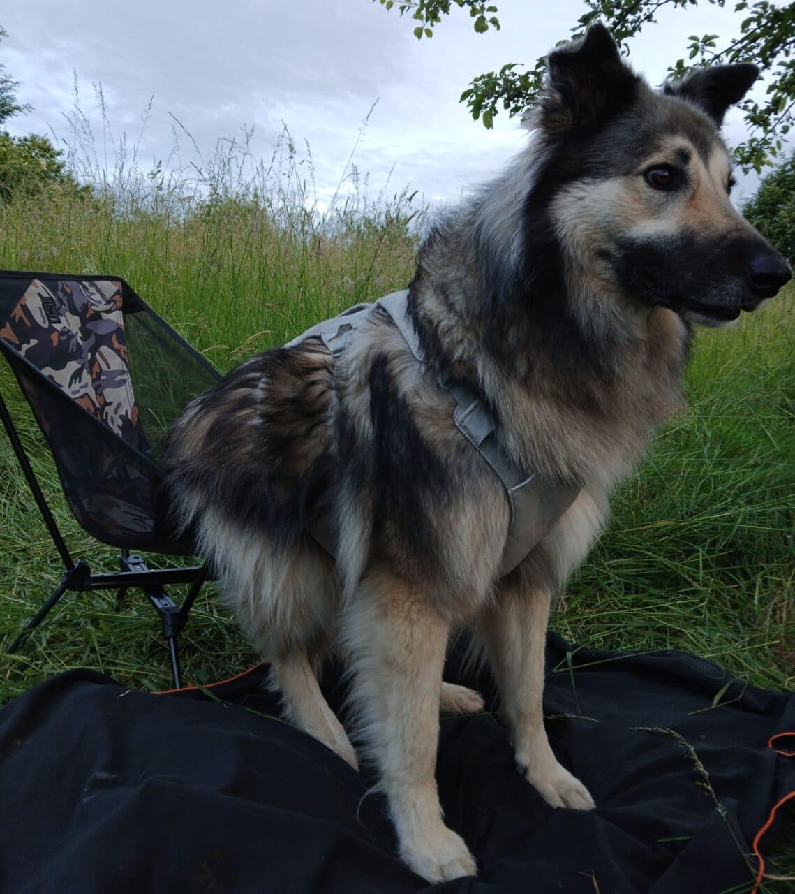 quechua campingstuhl mh500 leao