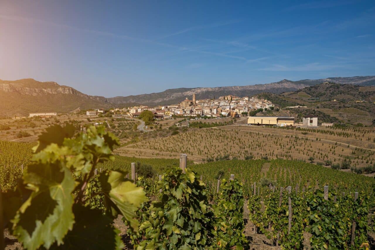 katalonien priorat weinberge