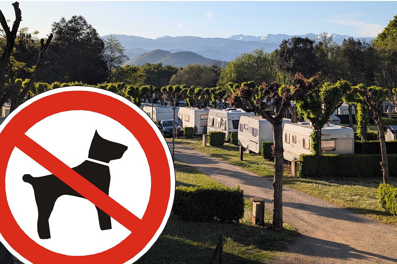 Hundefreie Campingplätze in Deutschland und Europa